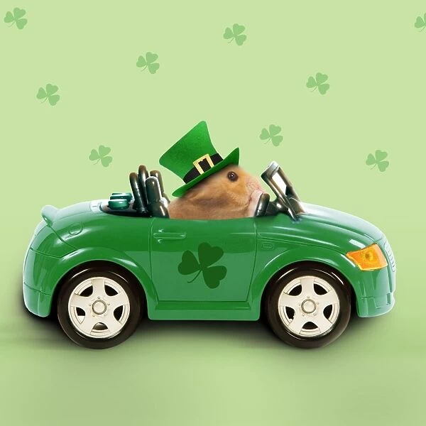 Hamster - driving car - Saint Patrick's Day Digital Manipulation: Added colour background & shamrocks - changed car colour - Car & Hamster LA - Hat (Su)