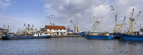 Harbour Oudeschild - Texel - island - Netherlands
