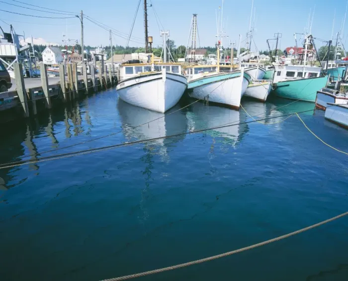 Framed Print : Harbour Tide FG 6473 Sequence 2 of 2. High Tide, 6hr 10 min later. Max. Amplitude 27 feet. Highest tides in the World: Bay of Fundy, Grand Manan Island, Canada. © Francois Gohier / ardea. com Framed Print : Harbour Tide FG 6473 Sequence 2 of 2. High Tide, 6hr 10 min later. Max. Amplitude 27 feet. Highest tides in the World: Bay of Fundy, Grand Manan Island, Canada. © Francois Gohier / ardea. com