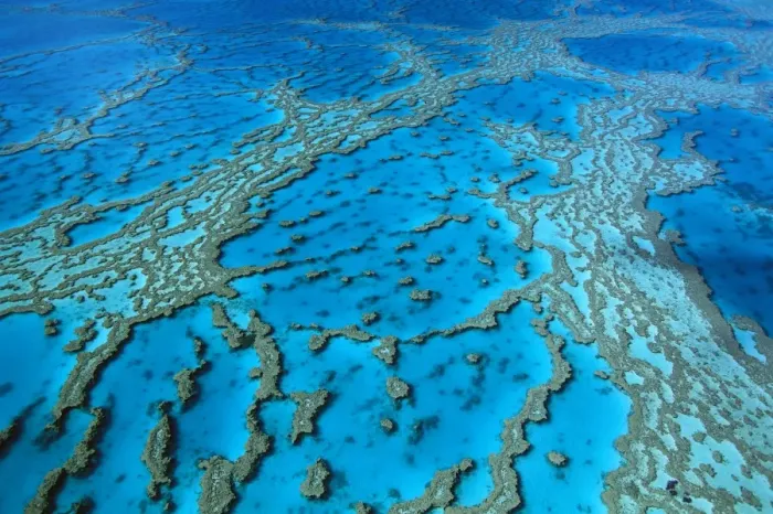 Framed Print : Hardy Reef coral formations, Hardy Reef, Great Barrier Reef Marine Park (World Heritage Area), Queensland, Australia JPF34001 Framed Print : Hardy Reef coral formations, Hardy Reef, Great Barrier Reef Marine Park (World Heritage Area), Queensland, Australia JPF34001