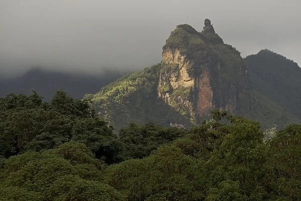 Harenna escarpment - Bale Mountains - Ethiopia - Africa