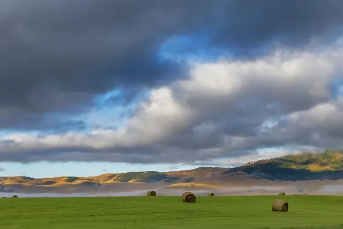 Framed Print : Hay bales in clearing fog with Salish Mountains in Lake County, Montana, USA Date: 28-08-2021 Framed Print : Hay bales in clearing fog with Salish Mountains in Lake County, Montana, USA Date: 28-08-2021