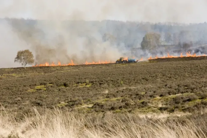 Framed Print : Heath fire with water sprayer - Cannock Chase AONB - Staffordshire UK