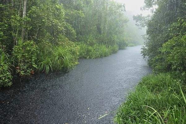 Heavy rain - blackwater river on the way to Camp Leakey - Tanjung Puting National Park - Kalimantan - Borneo - Indonesia