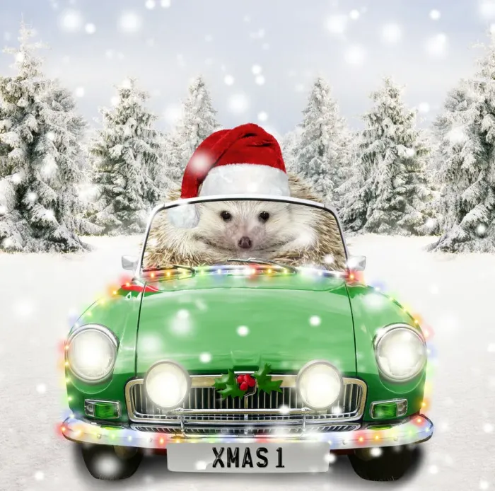 Framed Print : Hedgehog driving a sports car through Christmas winter scene Framed Print : Hedgehog driving a sports car through Christmas winter scene