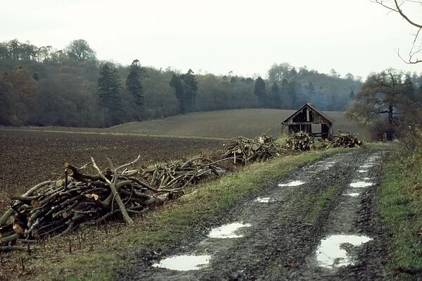 Hedgerow destruction Warwickshire UK