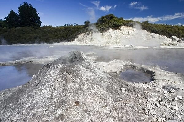 Hell's Gate  /  Tikitere geothermal reserve - mud volcano and sulphur lake. Rotorua - North Island - New Zealand