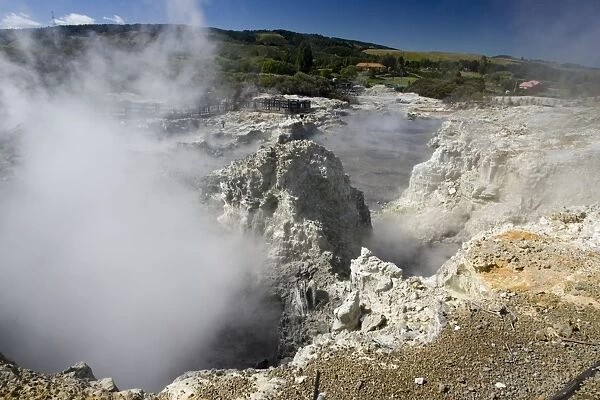 Hell's Gate  /  Tikitere Maori owned geothermal reserve - Rotorua - North Island - New Zealand