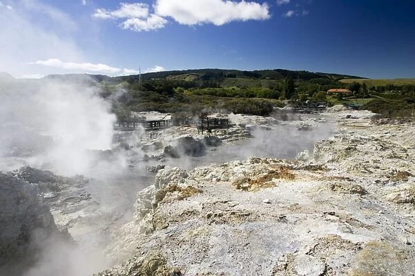 Hell's Gate  /  Tikitere Maori owned geothermal reserve - Rotorua - North Island - New Zealand