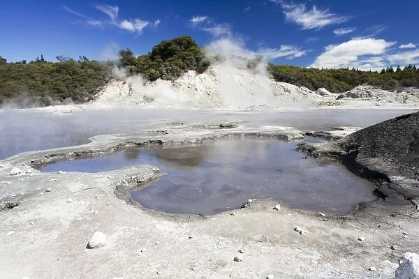 Hell's Gate  /  Tikitere Maori owned geothermal reserve - boiling mud pools and sulphur lake - North Island - New Zealand
