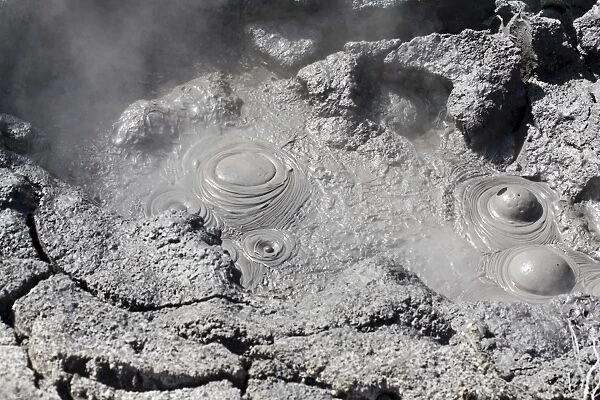 Hell's Gate - Tikitere  /  Rotorua - boiling mud pools Maori owned geothermal reserve - North Island - New Zealand