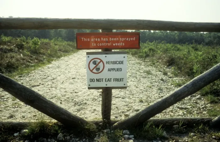 Framed Print : Herbicide Notice warning against picking herbicide-sprayed blackberries, UK Framed Print : Herbicide Notice warning against picking herbicide-sprayed blackberries, UK