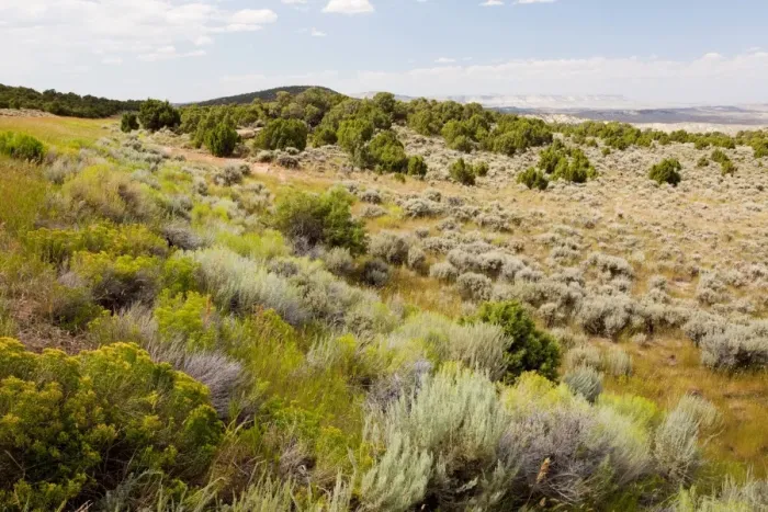 Framed Print : High Sagebrush desert, north of Rocksprings, Wyoming, USA, North America Framed Print : High Sagebrush desert, north of Rocksprings, Wyoming, USA, North America