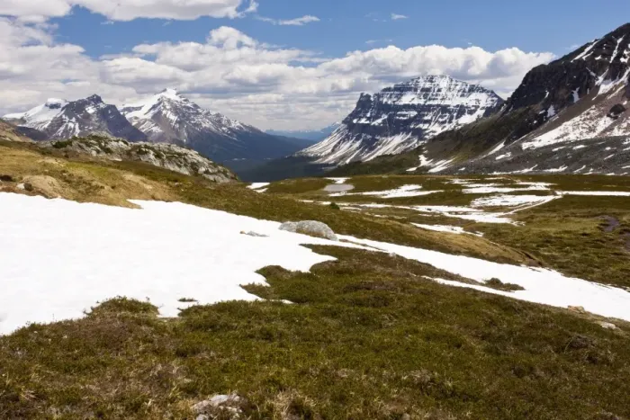 Framed Print : High tundra below Helen Lake, in the Banff National Park, Rockies, Canada Framed Print : High tundra below Helen Lake, in the Banff National Park, Rockies, Canada