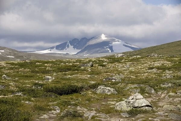 High tundra and mountains in the Dovrefjell National Park, Norway