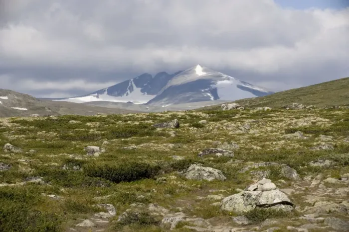 Framed Print : High tundra and mountains in the Dovrefjell National Park, Norway Framed Print : High tundra and mountains in the Dovrefjell National Park, Norway