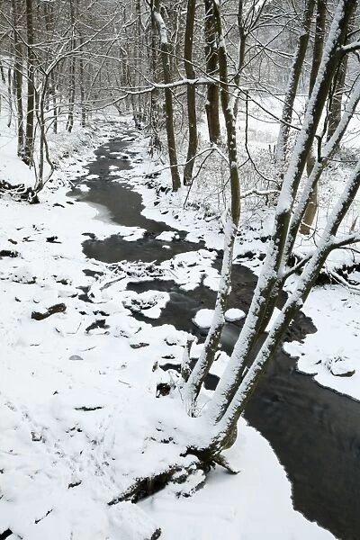Hill stream in winter snow - Bramwald Nature Park - Lower Saxony - Germany