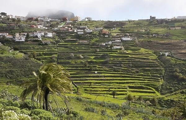 Hill Town of Chipude. La Gomera, Canary Is. January. A good example of terracing, but no sign of cultivation at this time of year