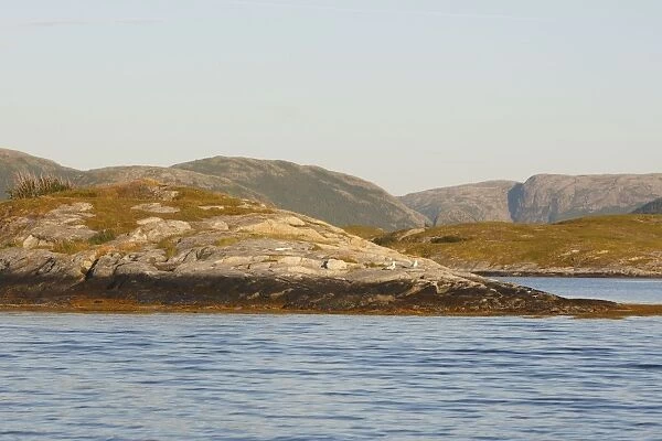 Hills and shoreline - Lauvsnes - Flatanger - Norway