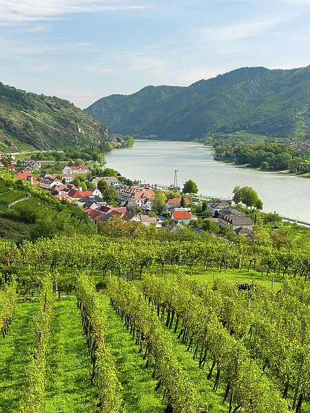Historic village Spitz located in wine-growing area, UNESCO World Heritage Site. Lower Austria Date: 11-09-2020