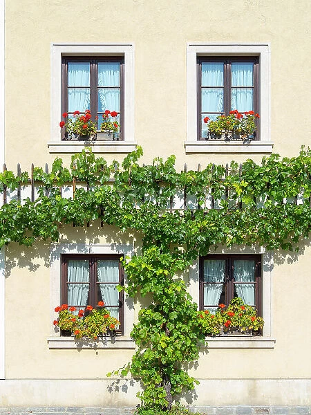 Historic village Unterloiben located in wine-growing area, UNESCO World Heritage Site. Lower Austria. (Editorial Use Only) Date: 11-09-2020