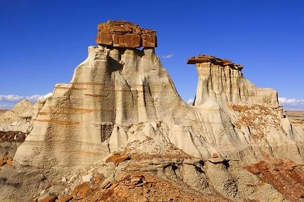 Hoodoos - eroded clay sculptures with rocks balanced on their tops located amidst badlands - Bisti Badlands Wilderness Area - New Mexico - USA