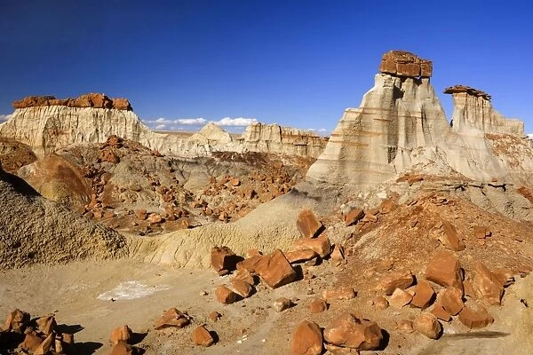 Hoodoos - eroded clay sculptures with rocks balanced on their tops located amidst badlands - Bisti Badlands Wilderness Area - New Mexico - USA