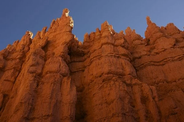 Hoodoos - occur in Claron formation containing limestone - siltstone - dolomite - mustone - Bryce Canyon National Park - Utah - USA