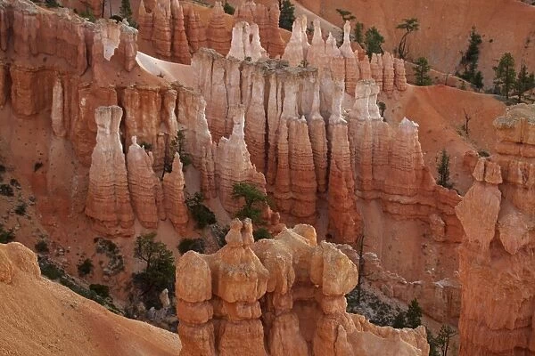 Hoodoos - occur in Claron formation containing limestone - siltstone - dolomite - mustone - Bryce Canyon National Park - Utah - USA