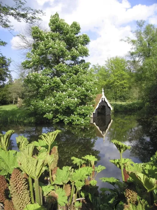 Framed Print : Horse Chestnut Tree - In flower, by pool and boat house. Gunnera in foreground Framed Print : Horse Chestnut Tree - In flower, by pool and boat house. Gunnera in foreground
