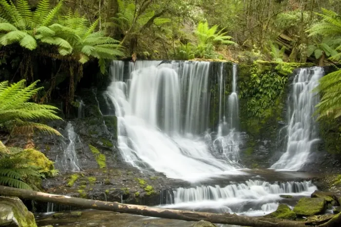 Framed Print : Horseshoe Falls - beautiful horseshoe-shaped waterfall cascades down a moss-covered cliff. It is located in lush temperate rainforest with lots of ground ferns and tree ferns - Mount Field National Park, Tasmania, Australia Framed Print : Horseshoe Falls - beautiful horseshoe-shaped waterfall cascades down a moss-covered cliff. It is located in lush temperate rainforest with lots of ground ferns and tree ferns - Mount Field National Park, Tasmania, Australia
