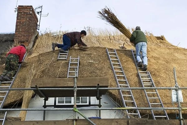 House - Rural craftsmen on roof thatching cottage
