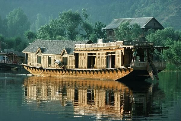 Houseboat SGI 917 Poled to new mooring - Lake Dal, Srinagar, Kashmir, India © ARDEA LONDON