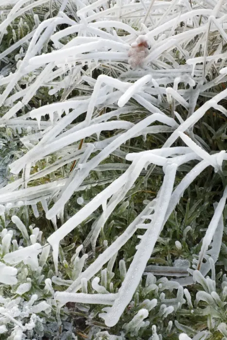 Framed Print : Ice Rain - on grass, Lower Saxony, Germany