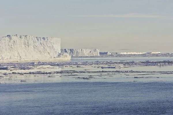Iceberg - Antarctic