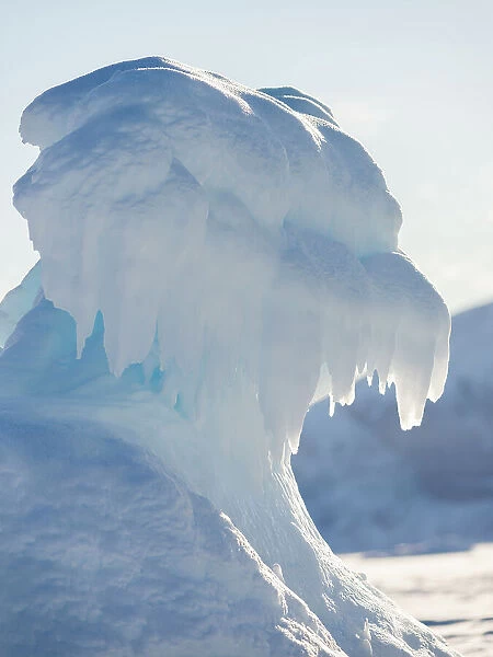 Iceberg frozen into the sea ice of the Uummannaq fjord system during winter. Greenland, Danish Territory Date: 06-03-2020