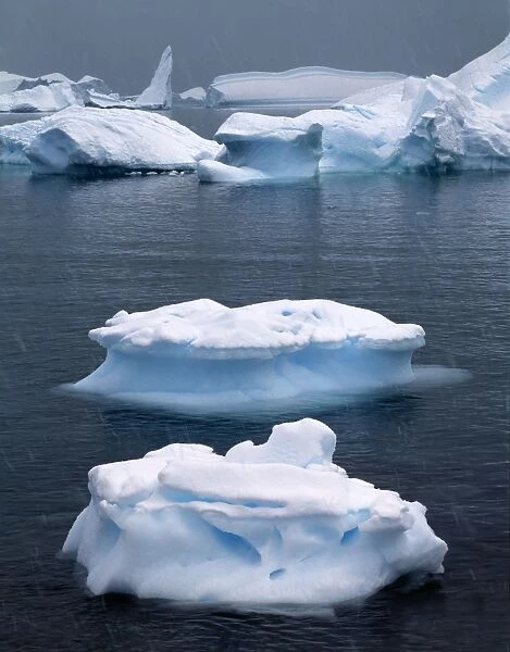 Icebergs - Antarctica