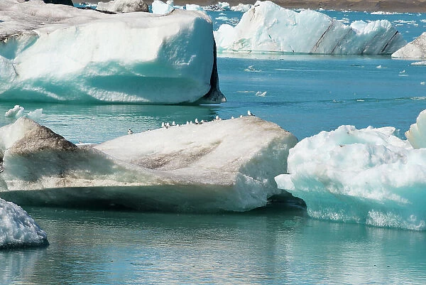 Icebergs in Jokulsarlon Glacial Lagoon, Iceland Date: 23-07-2017