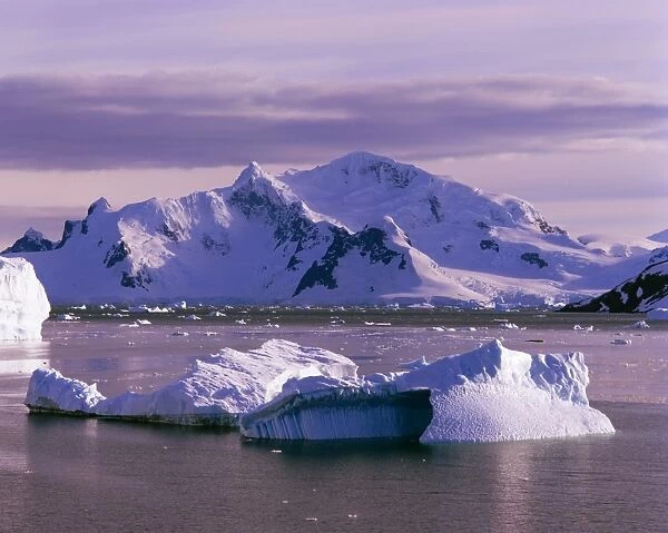 Icebergs off Graham Land Antarctic Peninsula, Antarctica JPF21089