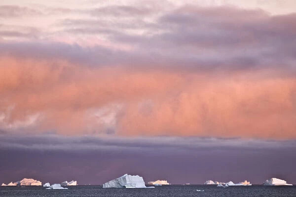 Icebergs at sunrise, Cape York, West Coast