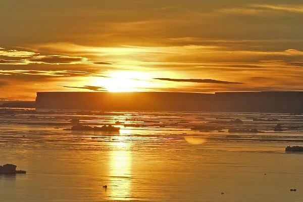 Icebergs at sunset - Antarctic