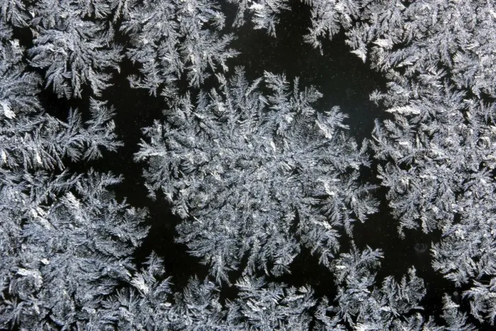 Framed Print : Iceflower - frostflower on window glass Framed Print : Iceflower - frostflower on window glass