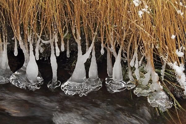 Icicles - at edge of river - Arch Mountain - Germany