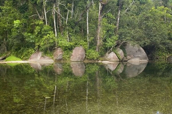 idyllic Babinda creek - at this flat and wide section, Babinda creek widens to a big waterhole which is used as a natural swimming pool. Hugh boulders and lush tropical rainforest reflect in the water's calm surface - Babinda Creek