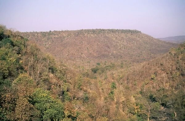 India Winter  /  dry season. Panna National Park, Dhundwa, India