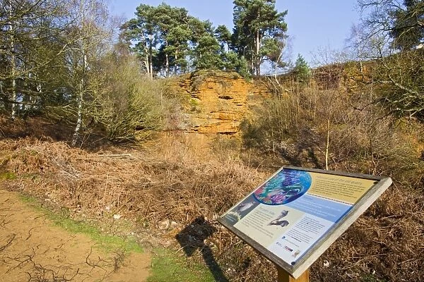 Information board at sandstone quarry - The Lodge RSPB Nature Reserve - Sandy - Bedfordshire - UK