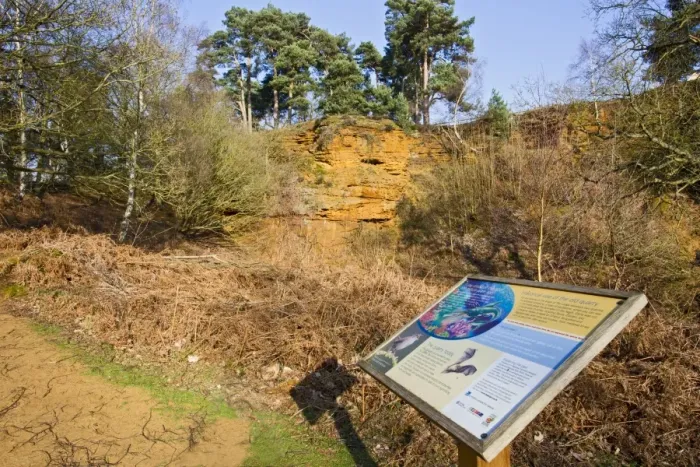 Framed Print : Information board at sandstone quarry - The Lodge RSPB Nature Reserve - Sandy - Bedfordshire - UK Framed Print : Information board at sandstone quarry - The Lodge RSPB Nature Reserve - Sandy - Bedfordshire - UK