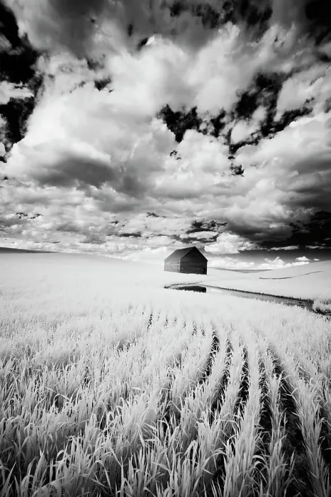Framed Print : Infrared Palouse fields and barn. (PR) Date: 12-06-2011 Framed Print : Infrared Palouse fields and barn. (PR) Date: 12-06-2011