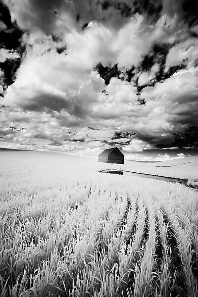 Infrared Palouse fields and barn. (PR) Date: 12-06-2011