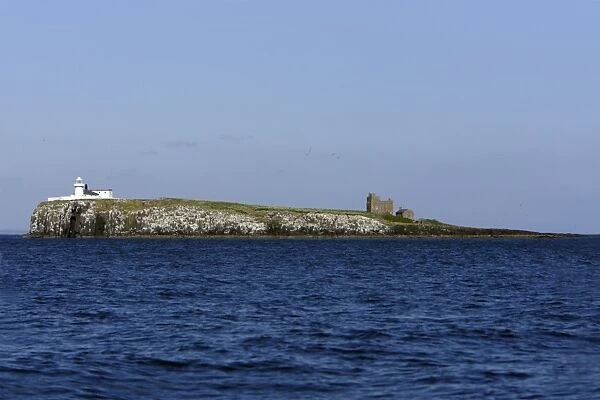 Inner Farne Island-showing lighthouse and church, Farne Islands, Northumberland UK